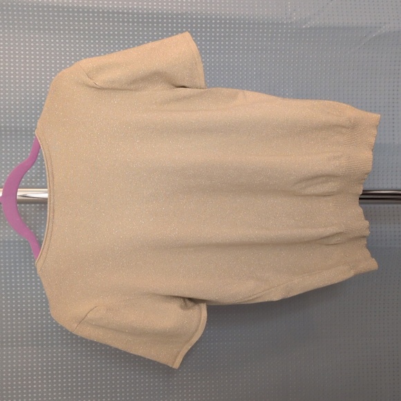 Talbots Sparkle Top - Picture 3 of 7